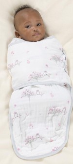 Aden + Anais Classic Easy Swaddle – For The Birds